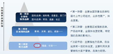 采纳品牌营销策划公司 电子通信行业的品牌塑造与市场营销专家