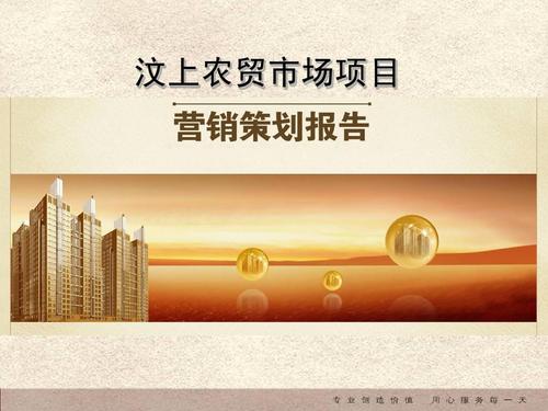 汶上农贸市场全程整合营销策划报告