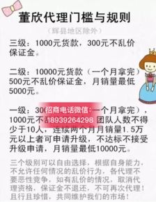 央视曝光董欣品牌引发关注，解析其官方代理招募模式与市场营销策略