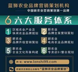 大米策划 差异化战略引领农产品品牌营销成功之路